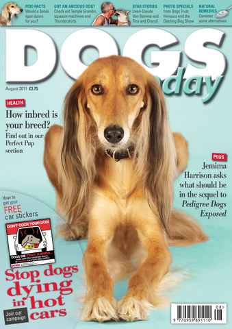 Dogs Today Magazine issue August 2011
