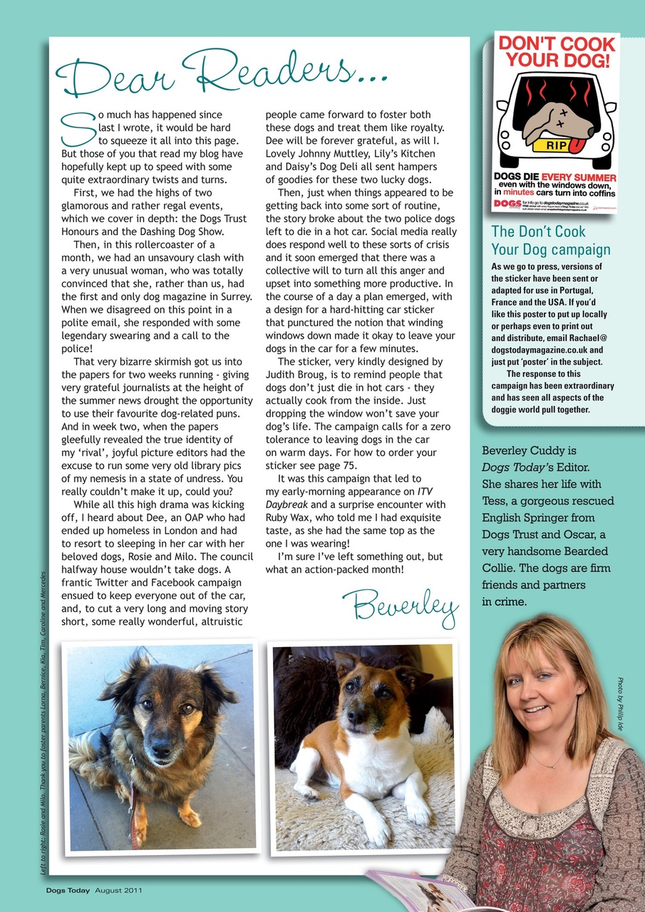 Dogs Today Magazine Preview Pages