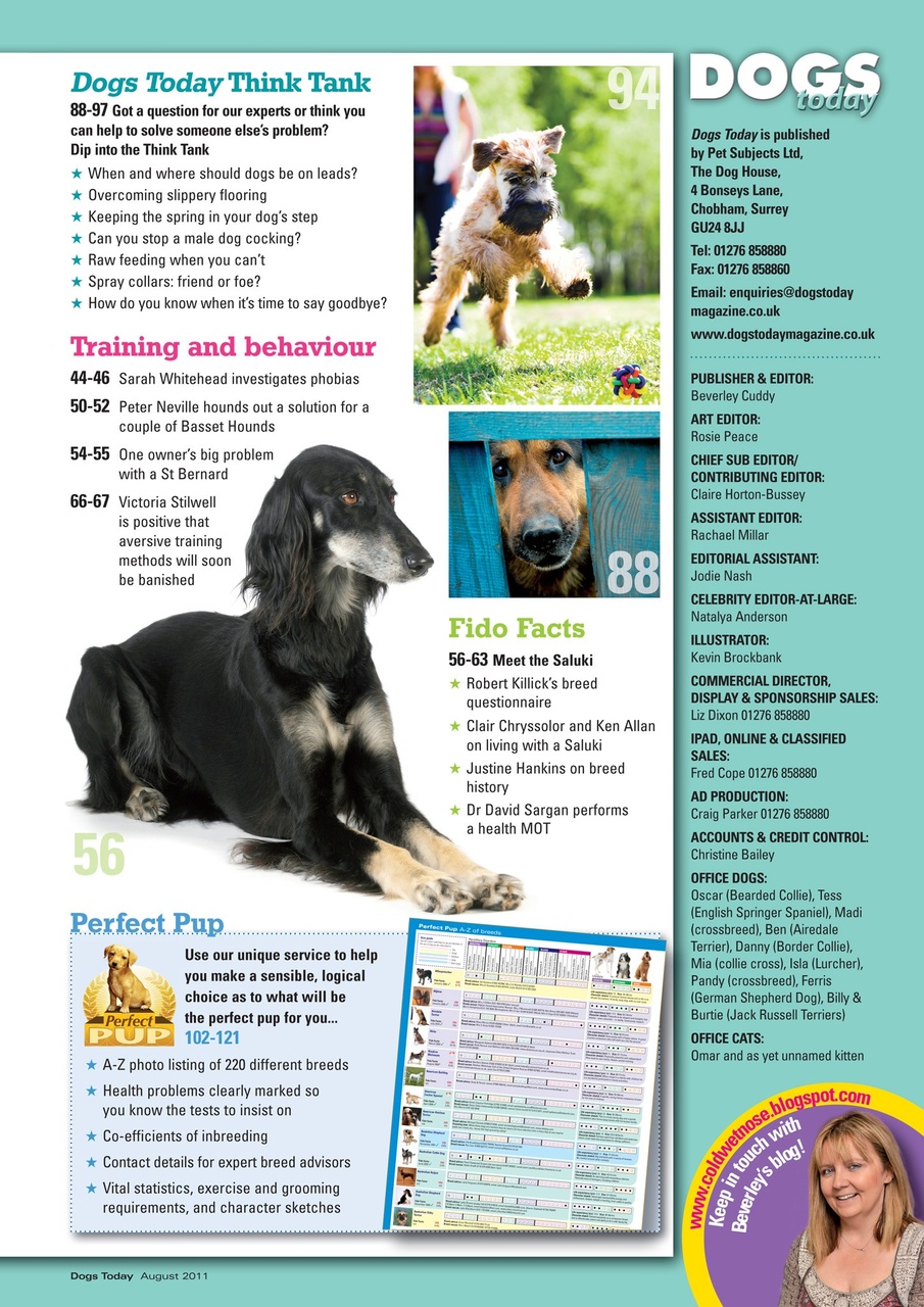 Dogs Today Magazine Preview Pages