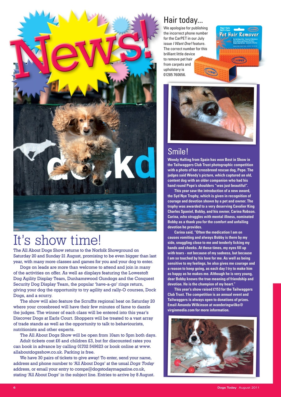 Dogs Today Magazine Preview Pages