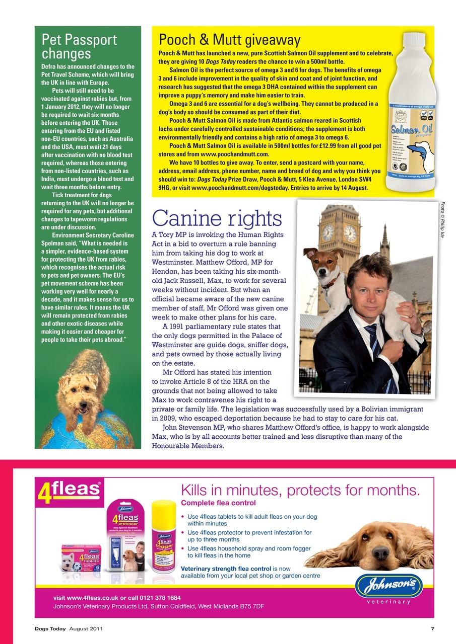 Dogs Today Magazine Preview Pages