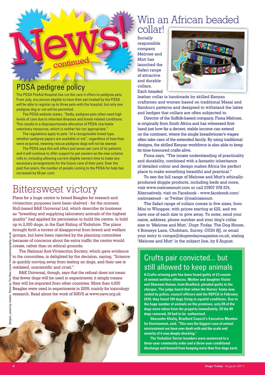 Dogs Today Magazine Preview Pages
