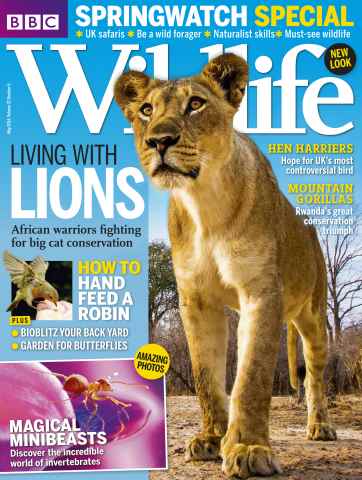 BBC Wildlife Magazine issue May 2014