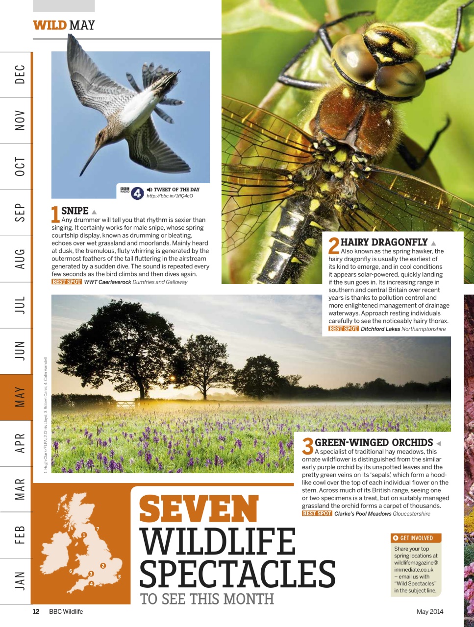 BBC Wildlife Magazine Preview Pages