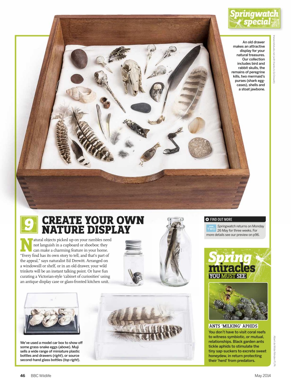 BBC Wildlife Magazine Preview Pages