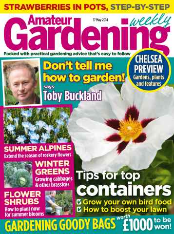 Amateur Gardening issue 17th May 2014