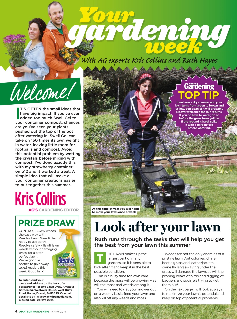 Amateur Gardening Preview Pages