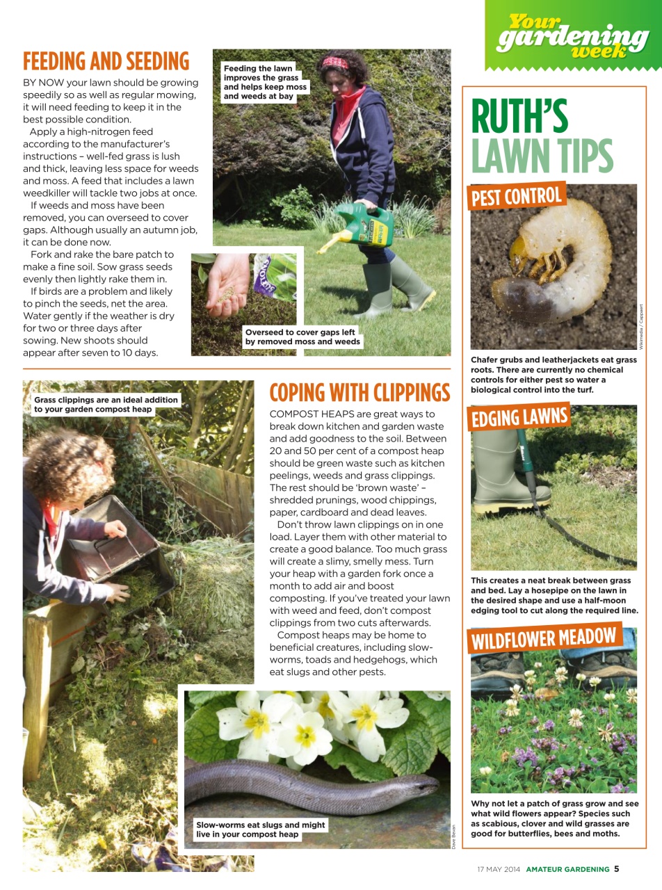Amateur Gardening Preview Pages