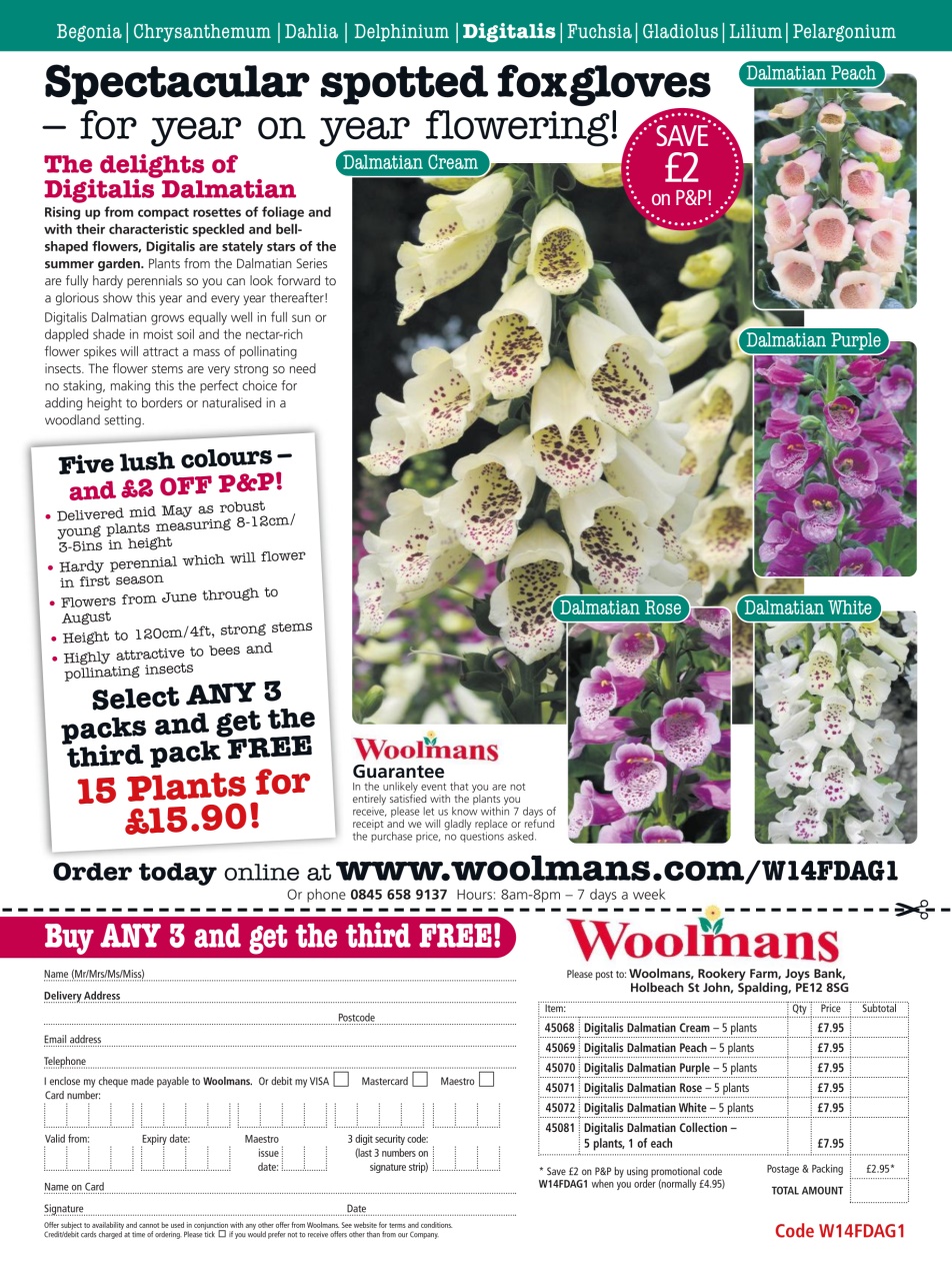 Amateur Gardening Preview Pages