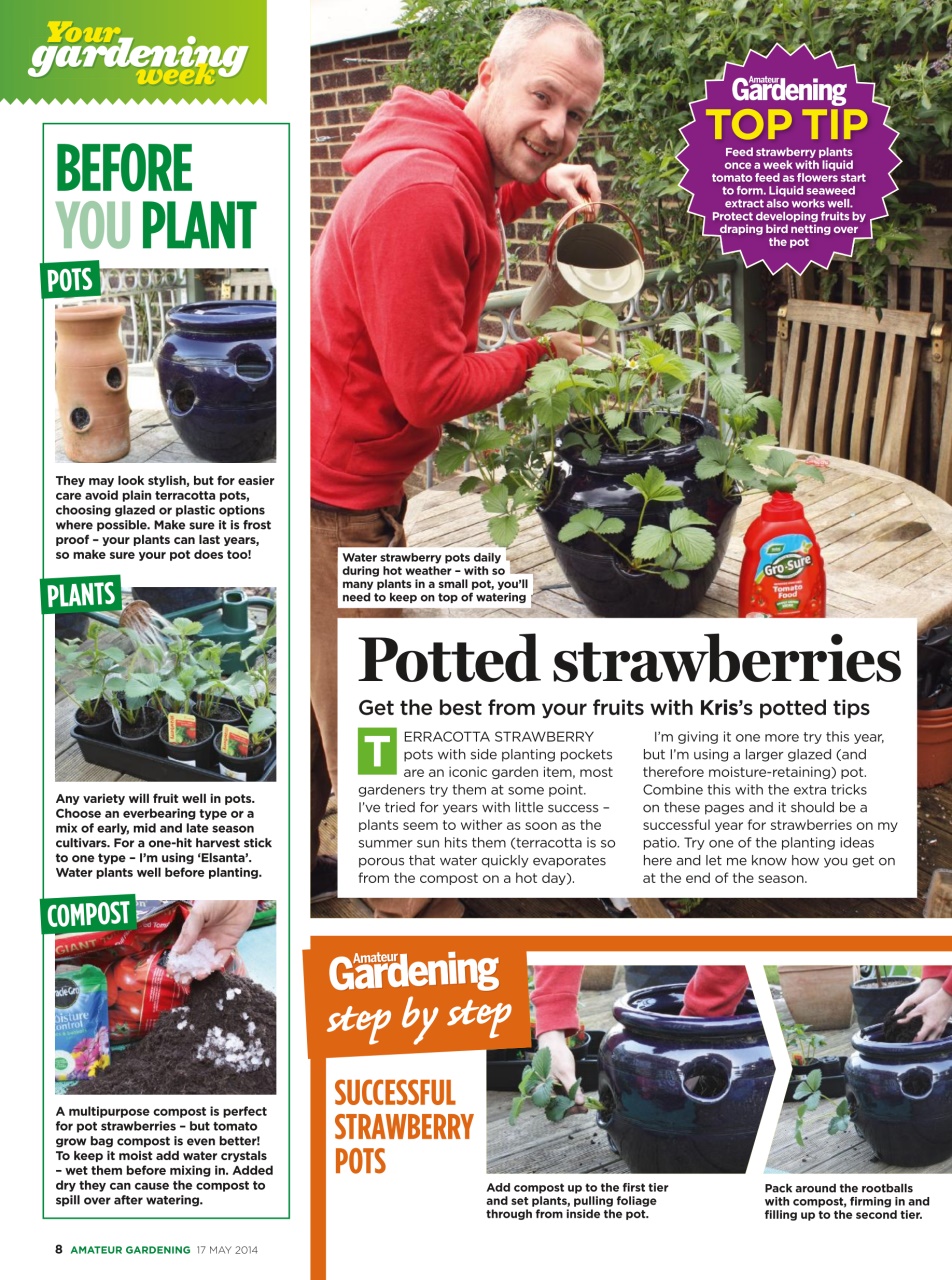 Amateur Gardening Preview Pages