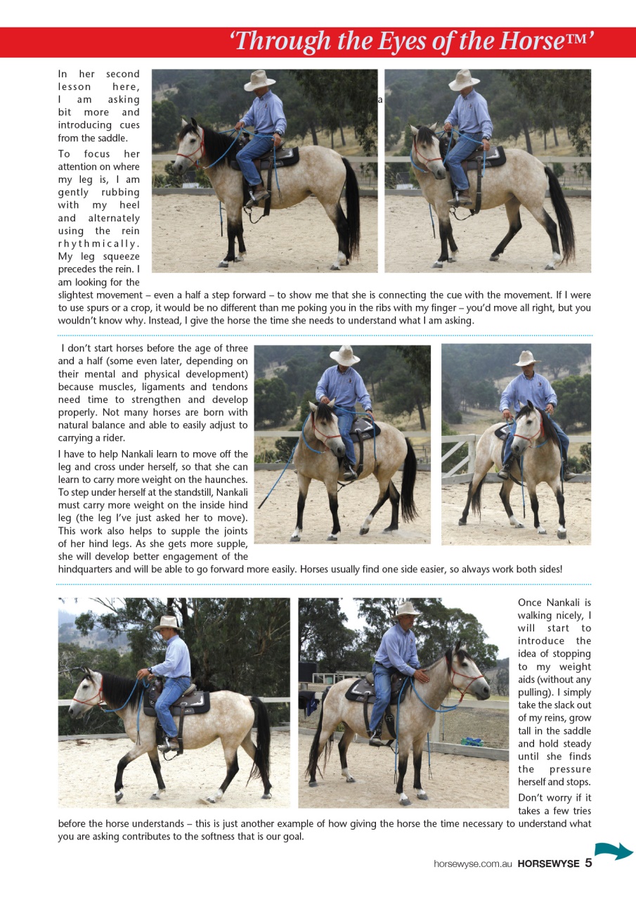 HorseWyse Magazine Preview Pages