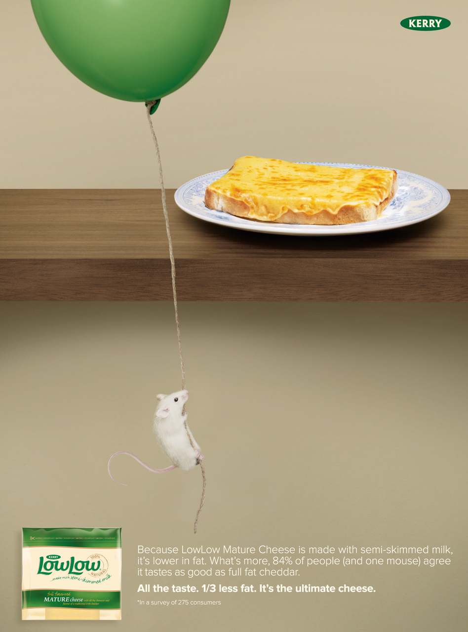 Slimming World Preview Pages