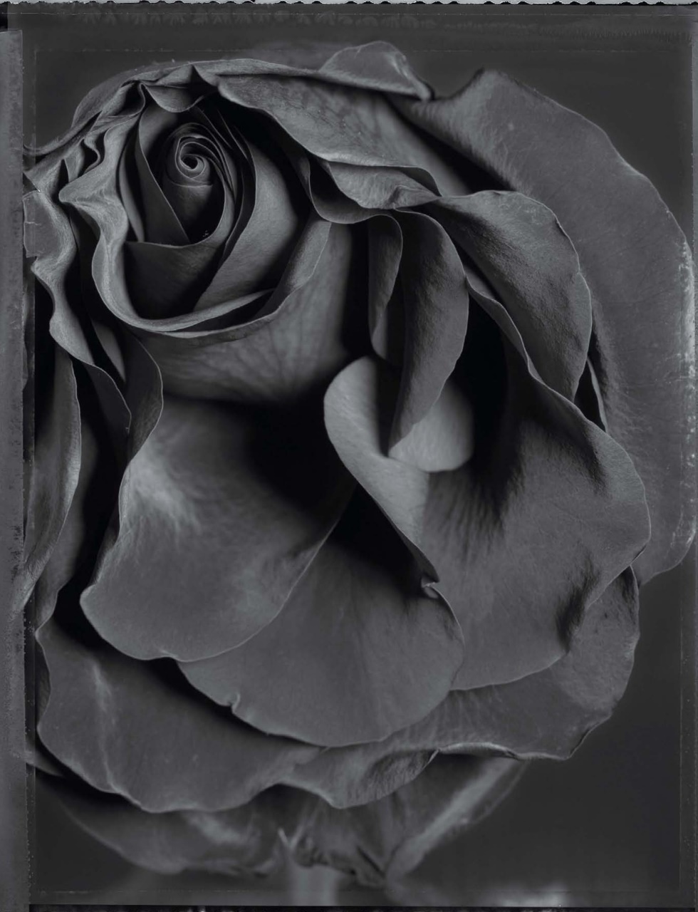 Black+White Photography Preview Pages