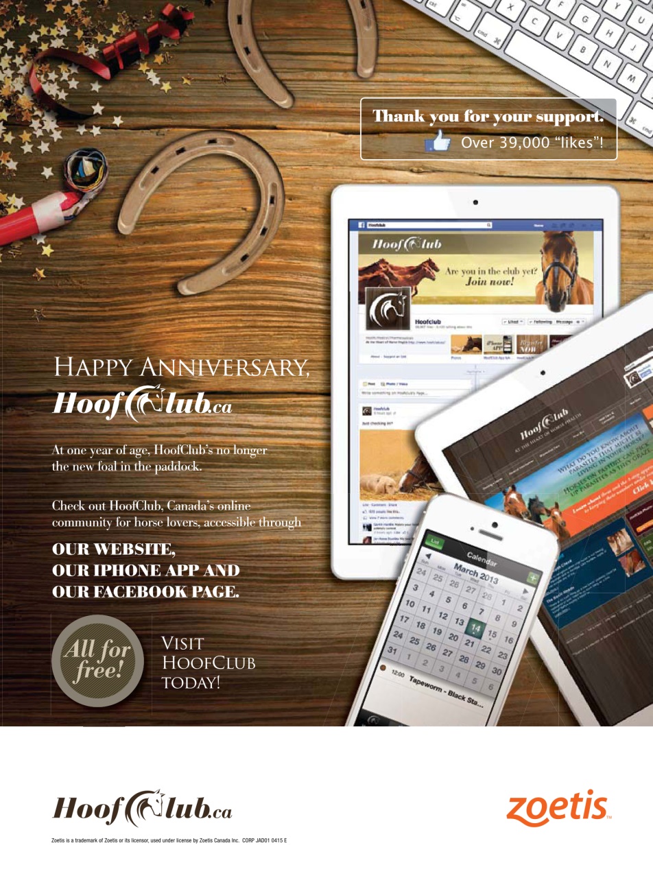 Western Horse Review Preview Pages