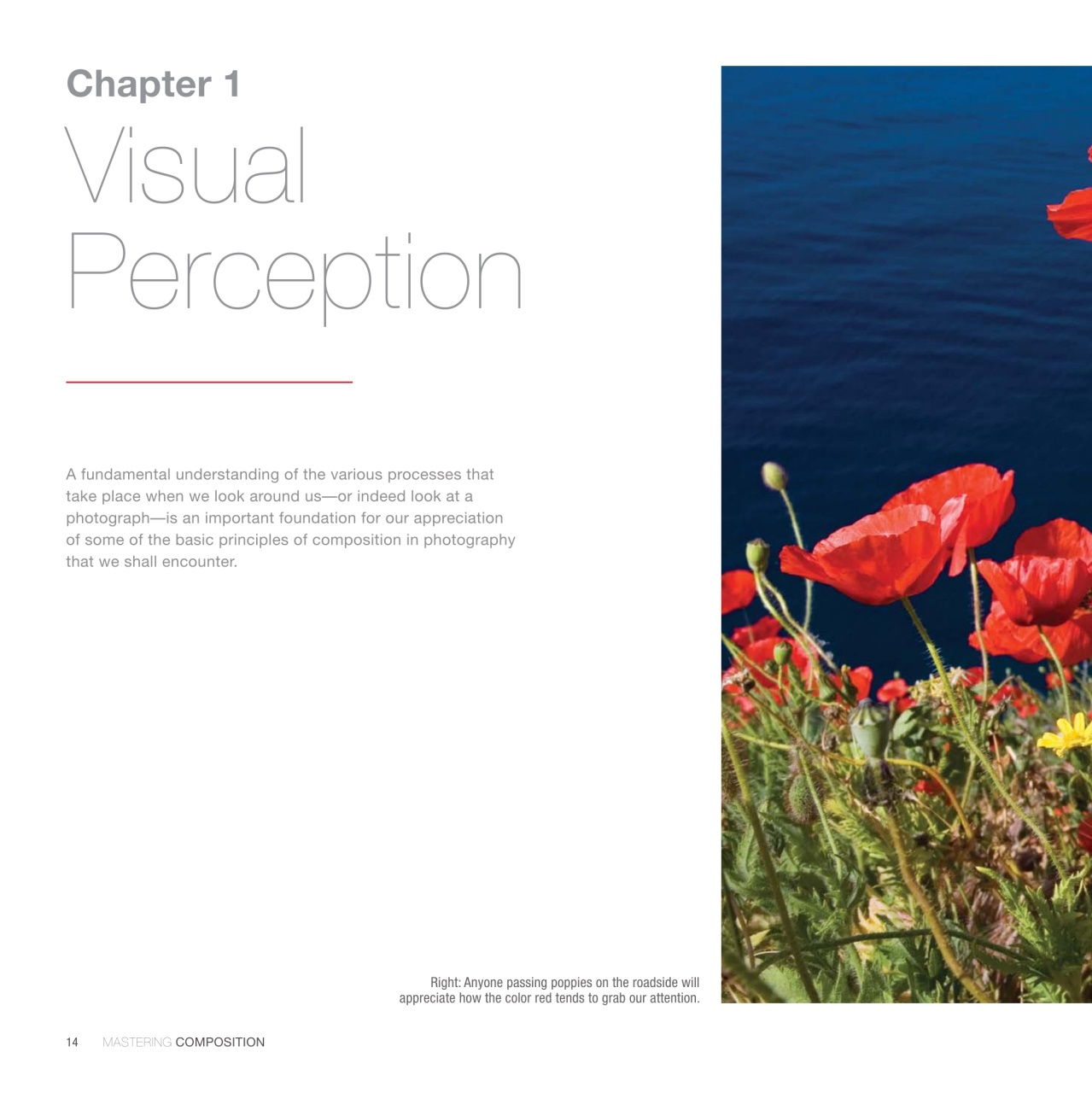 Black+White Photography Preview Pages