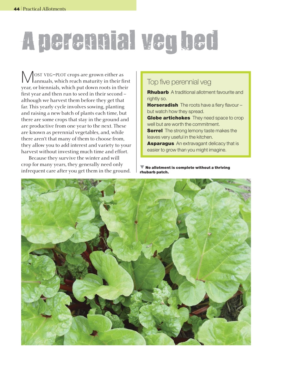 Woodworking Crafts Magazine Preview Pages