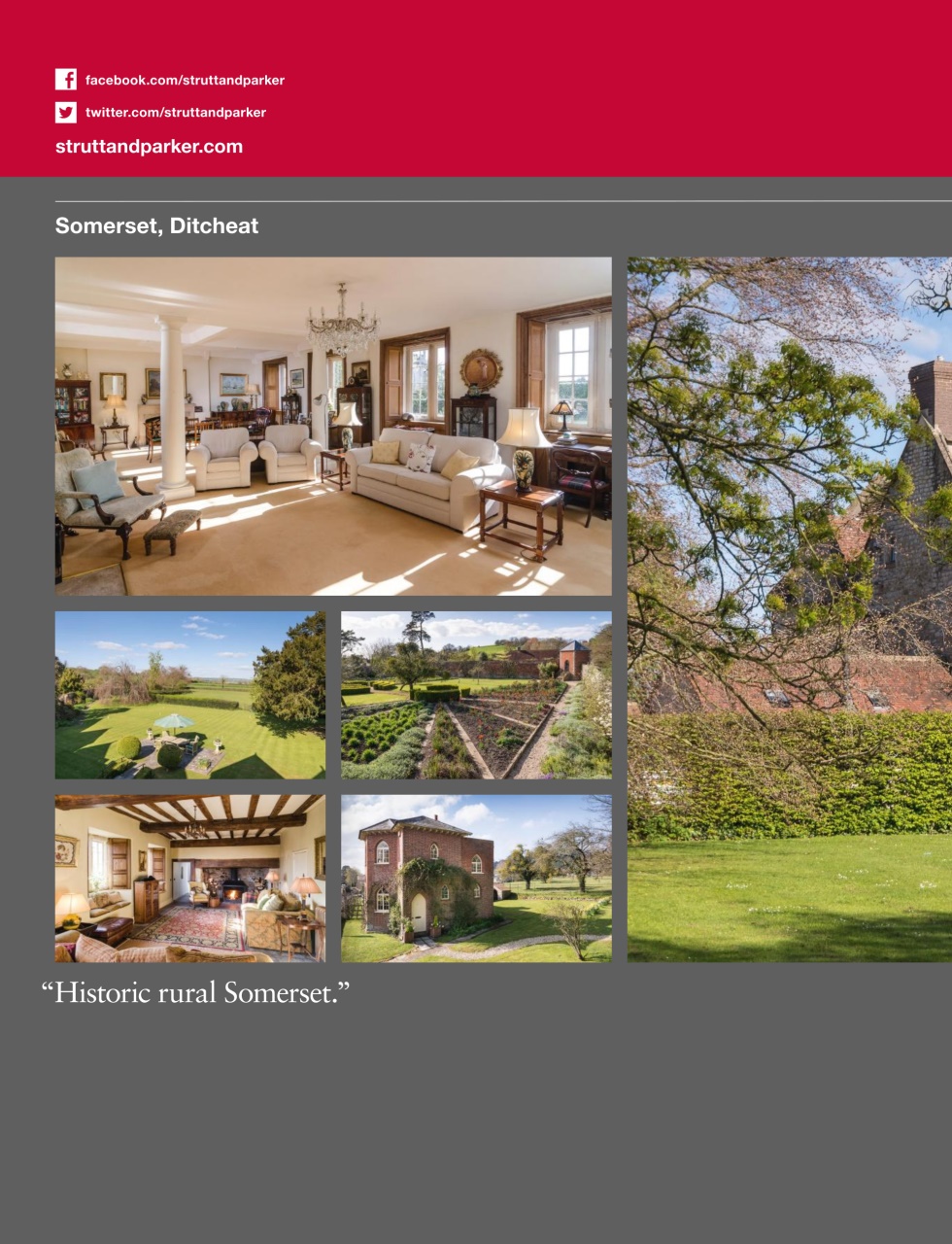 Country Life Preview Pages