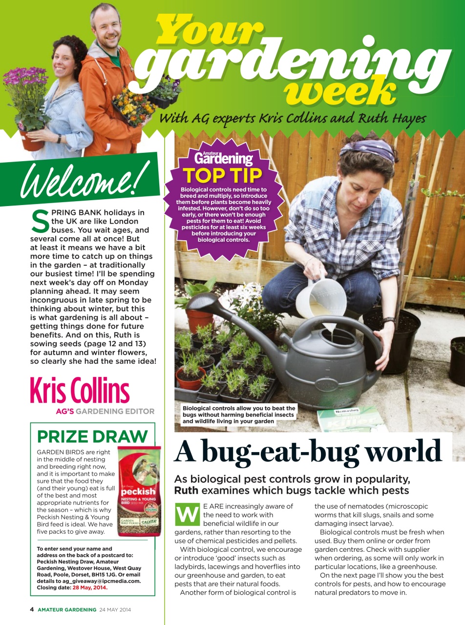Amateur Gardening Preview Pages