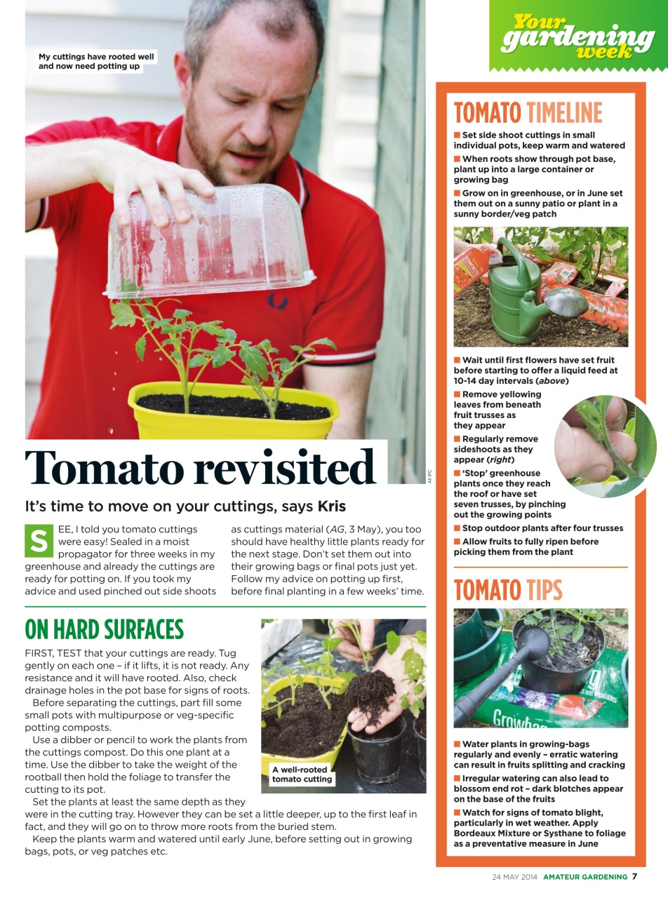 Amateur Gardening Preview Pages