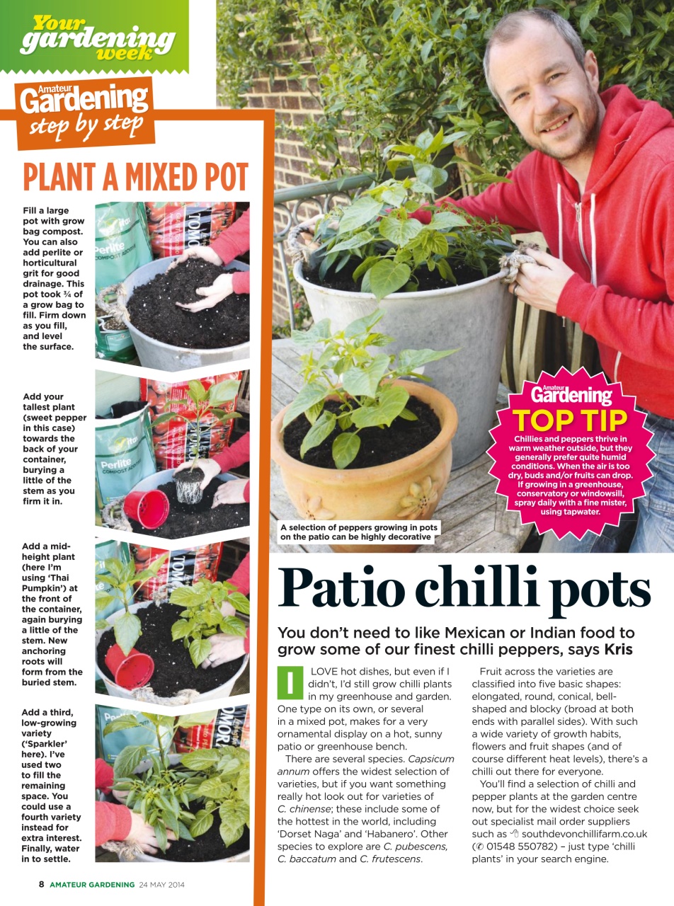 Amateur Gardening Preview Pages