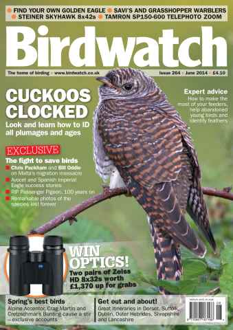 Birdwatch Magazine issue June Issue