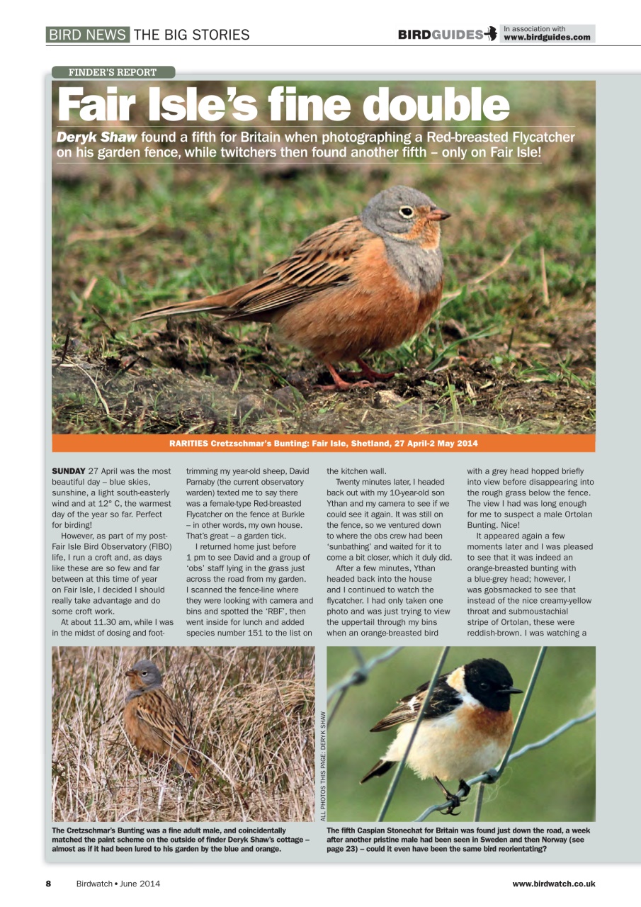 Birdwatch Magazine Preview Pages