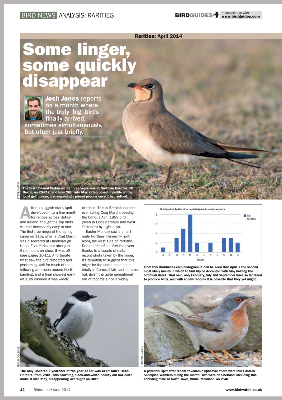 Birdwatch Magazine Preview Pages