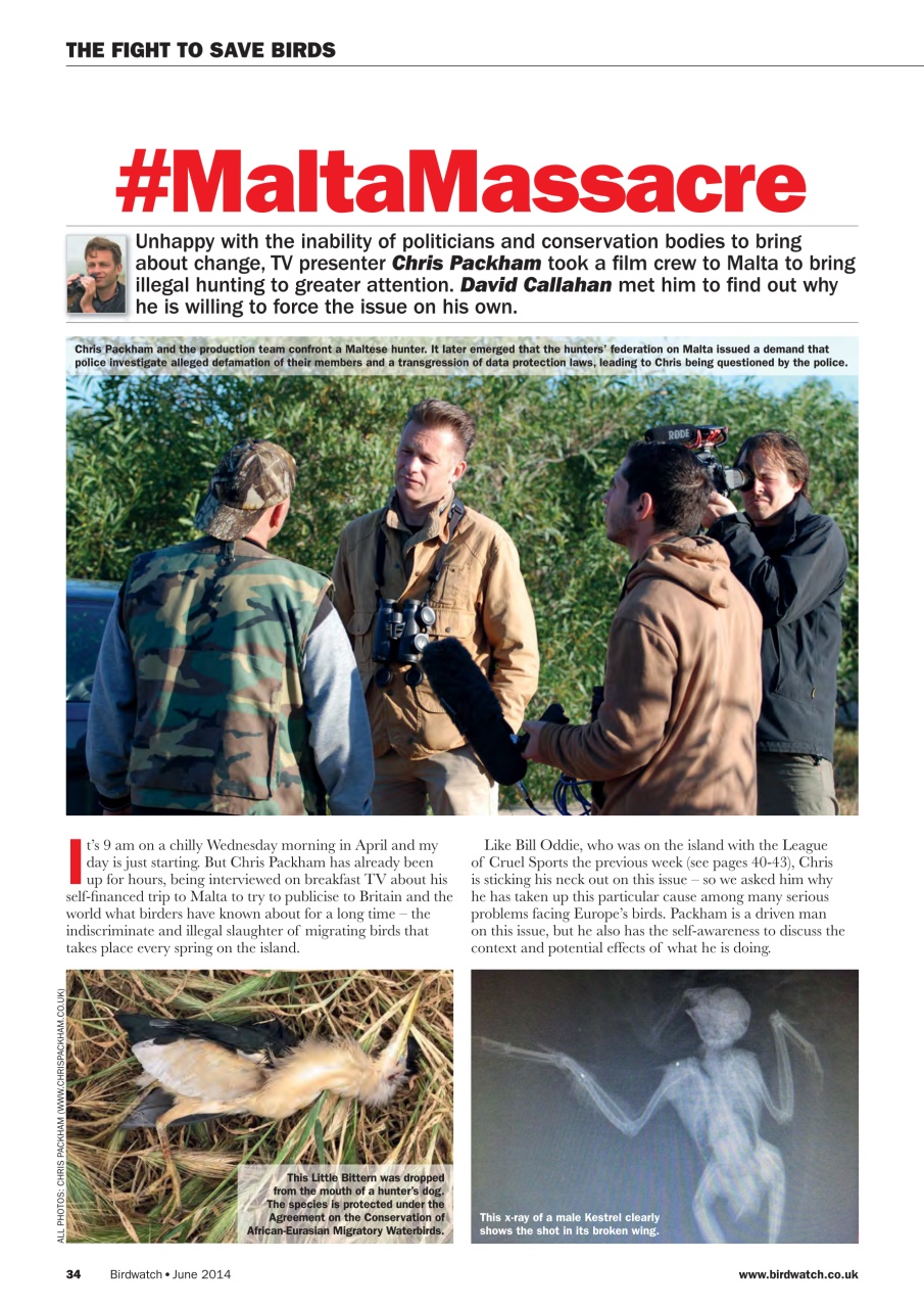 Birdwatch Magazine Preview Pages