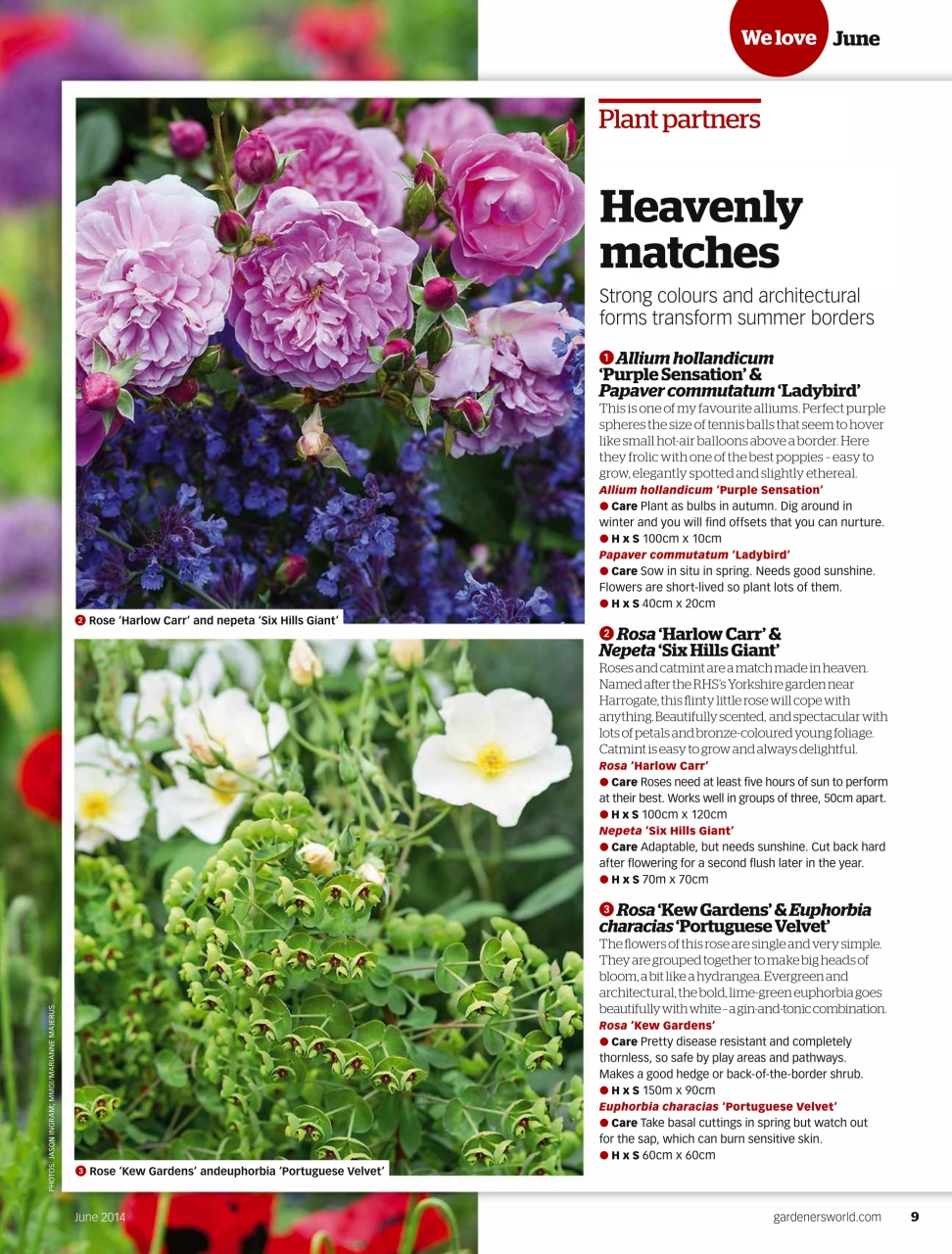 BBC Gardeners’ World Magazine Preview Pages