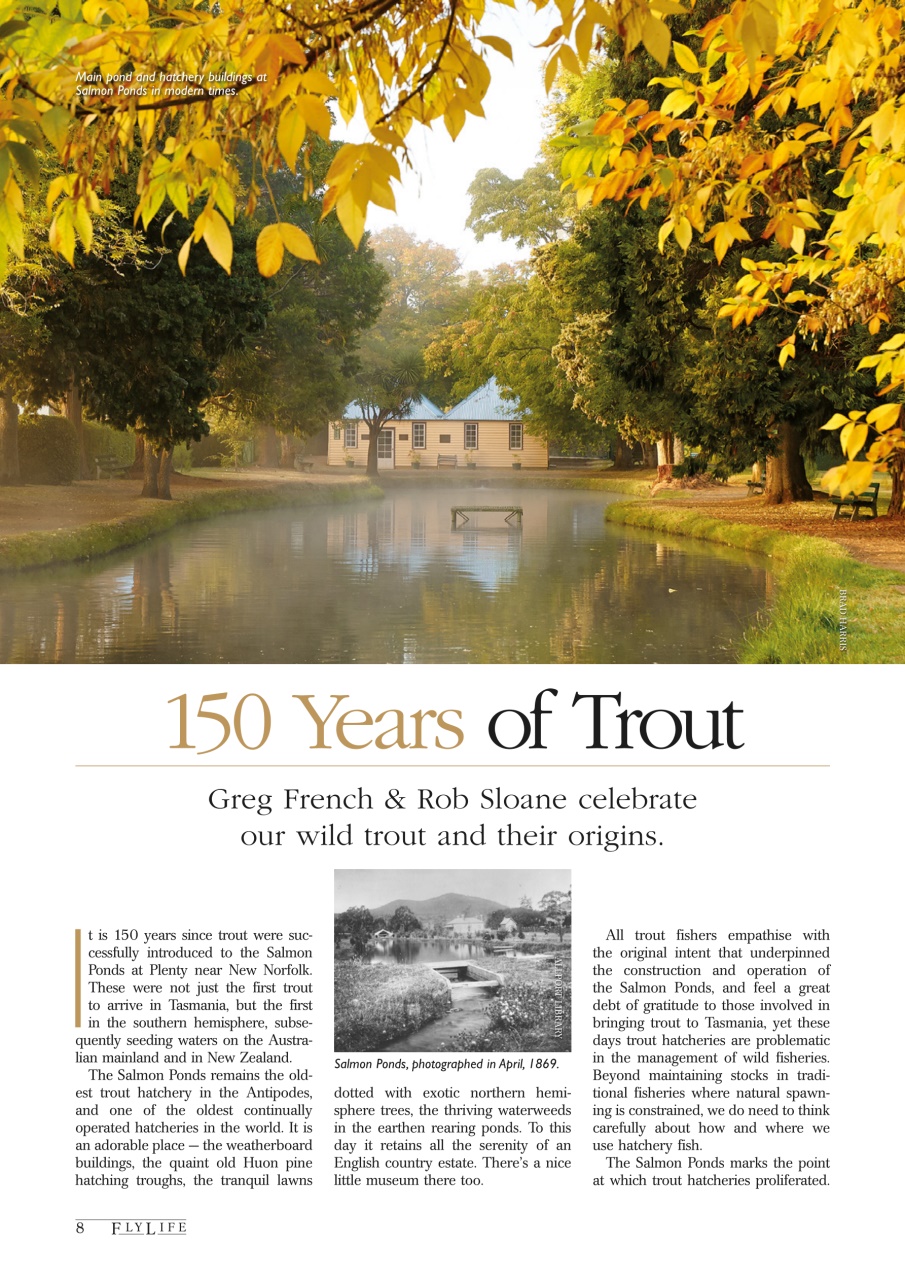 FlyLife Preview Pages