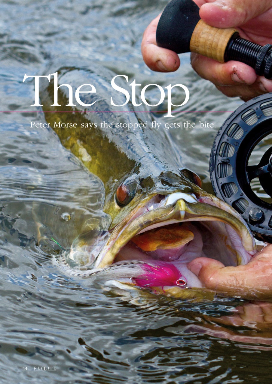 FlyLife Preview Pages