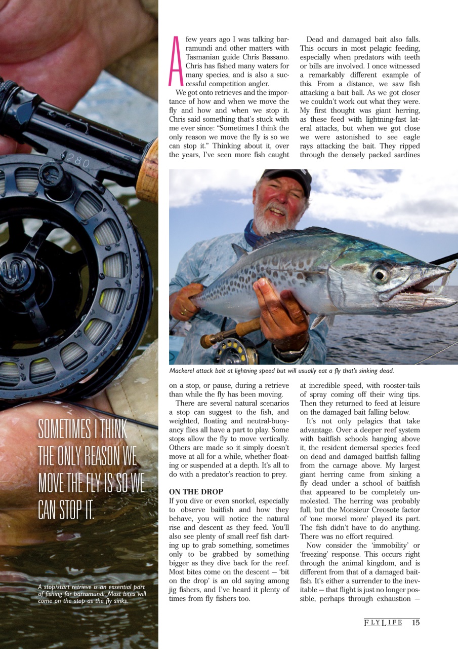 FlyLife Preview Pages