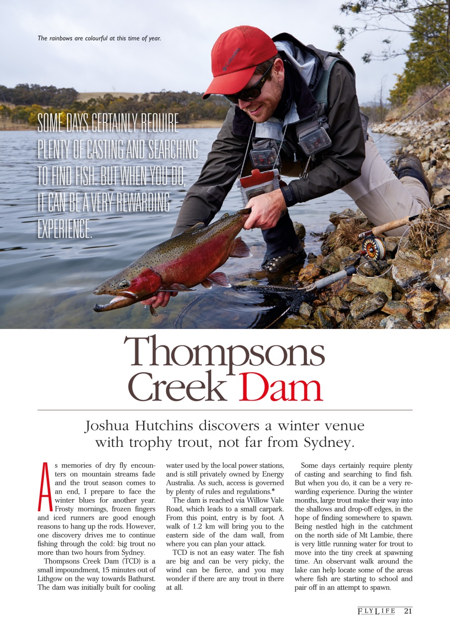 FlyLife Preview Pages