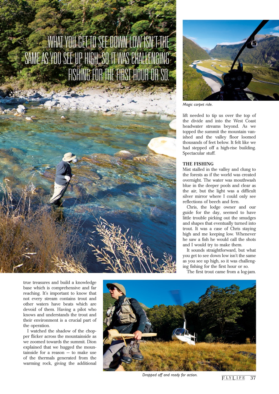 FlyLife Preview Pages