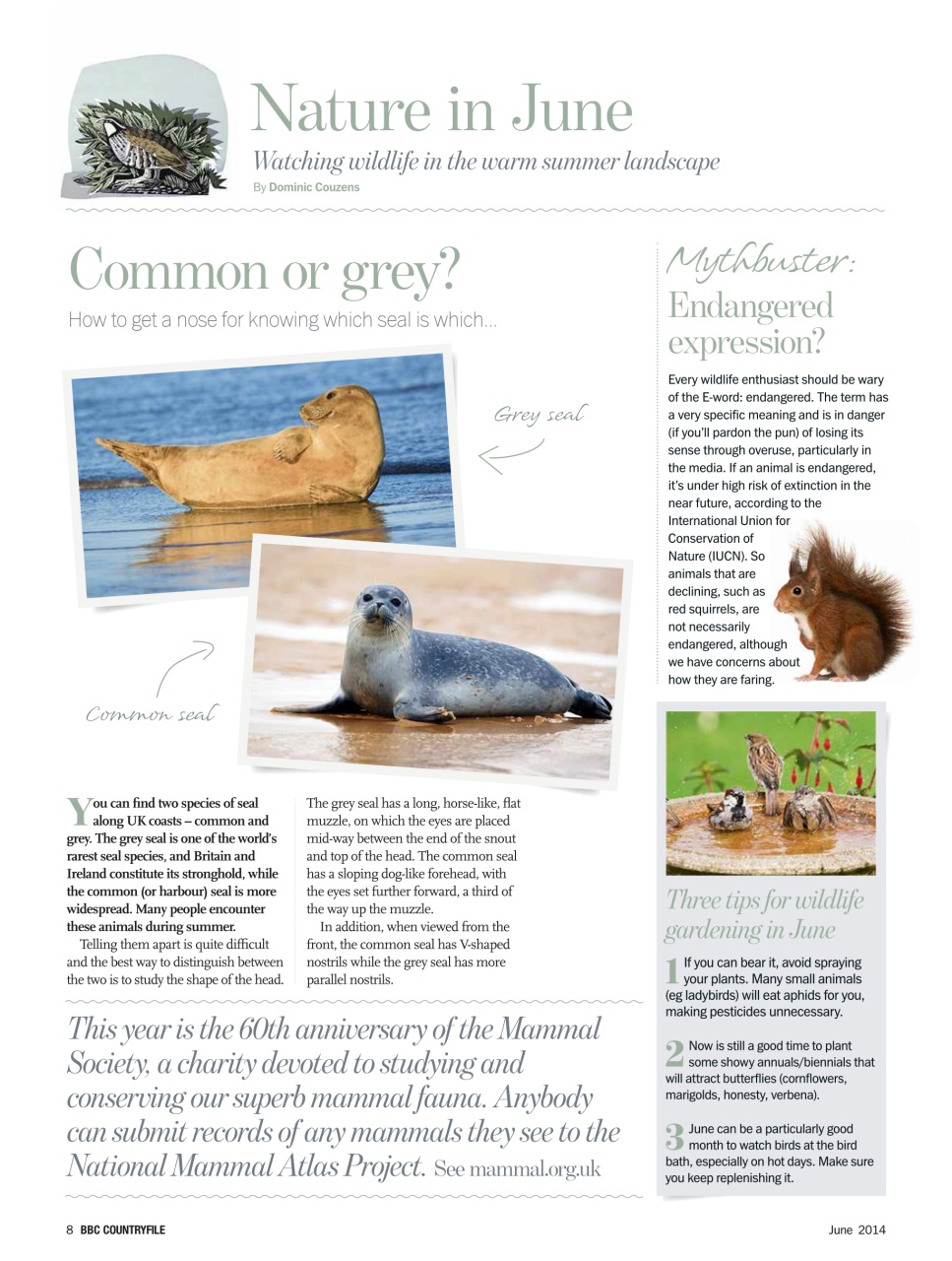 BBC Countryfile Magazine Preview Pages