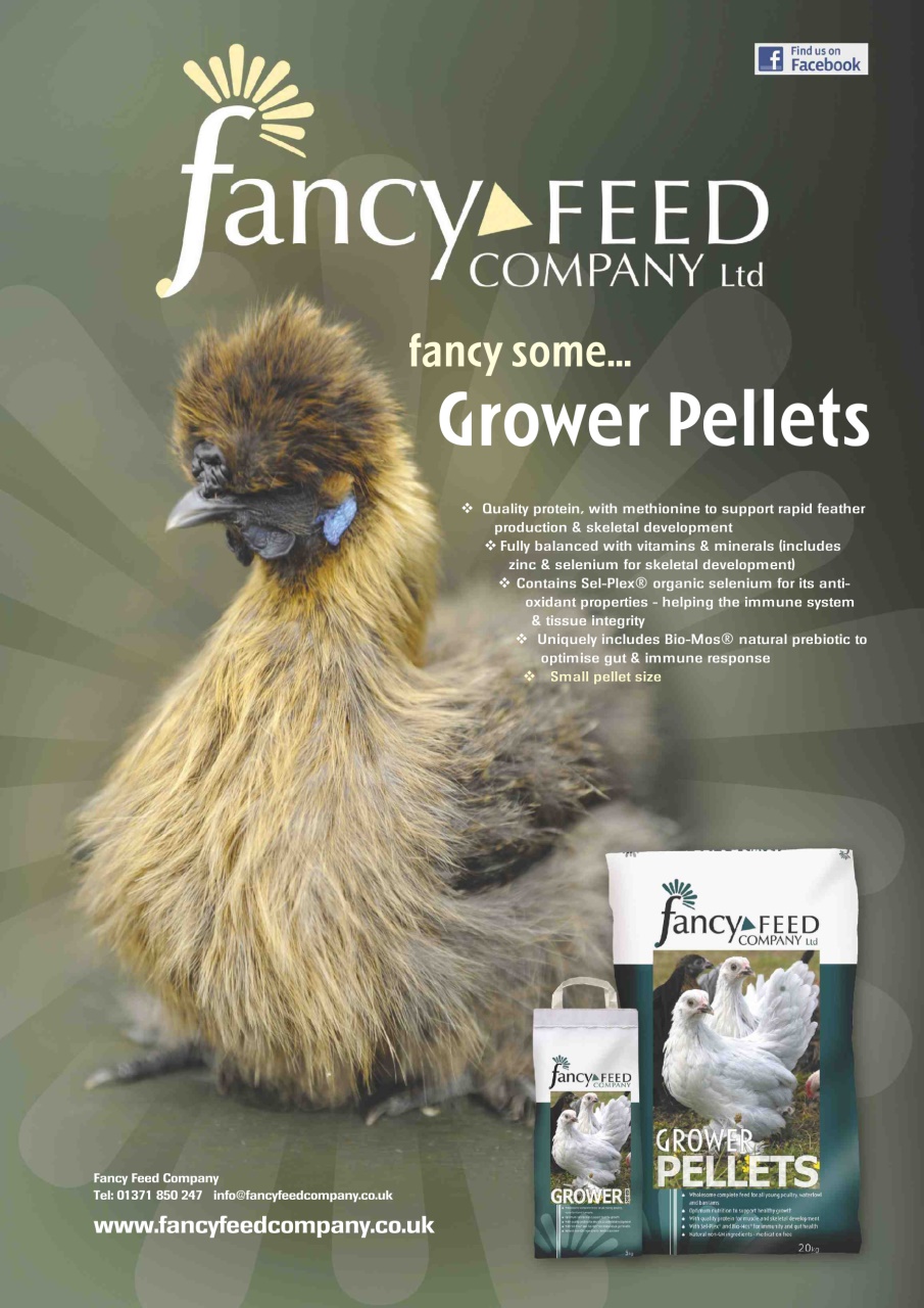 Practical Poultry Preview Pages