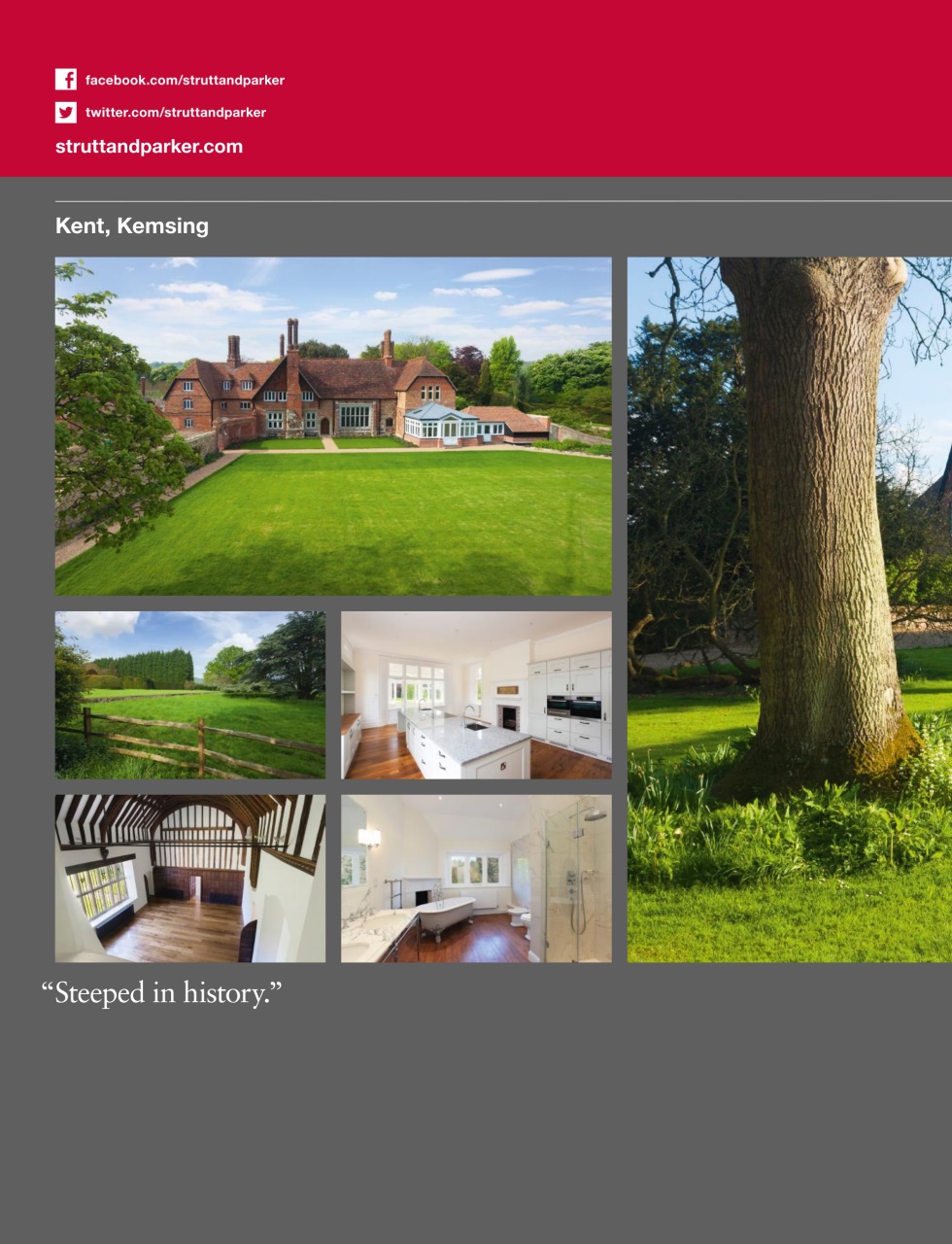 Country Life Preview Pages