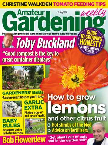Amateur Gardening issue 31st May 2014