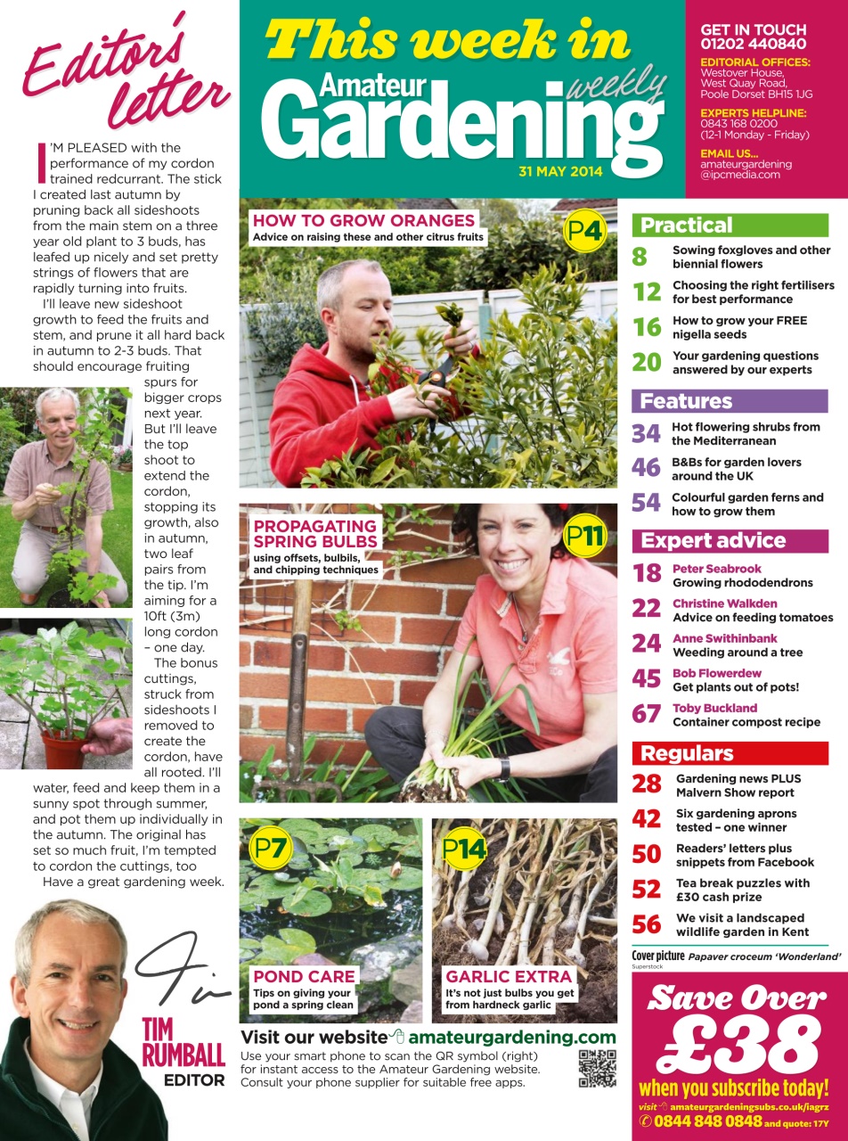 Amateur Gardening Preview Pages