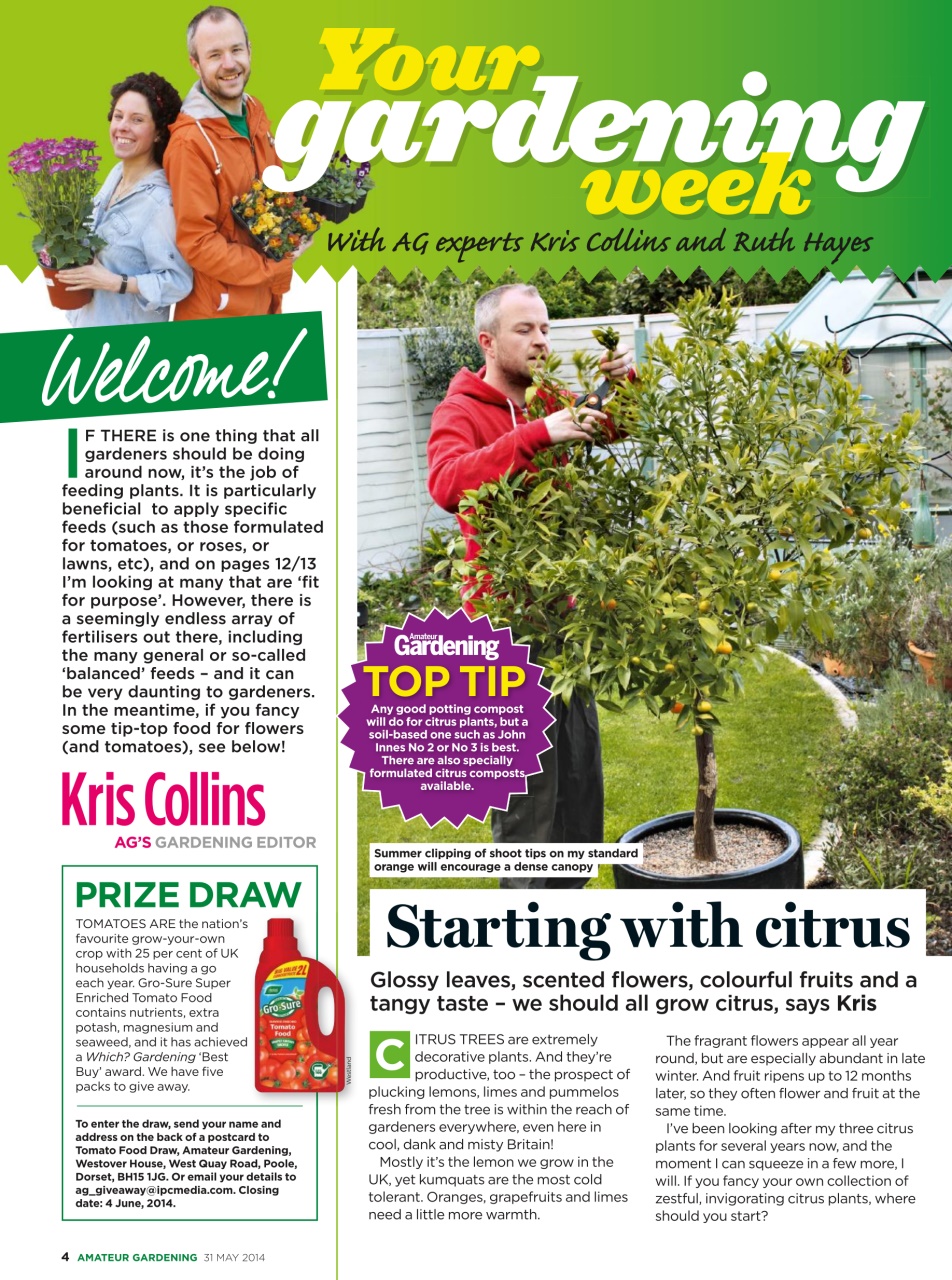 Amateur Gardening Preview Pages