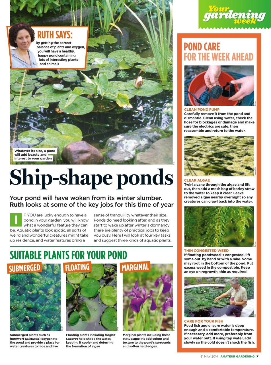 Amateur Gardening Preview Pages