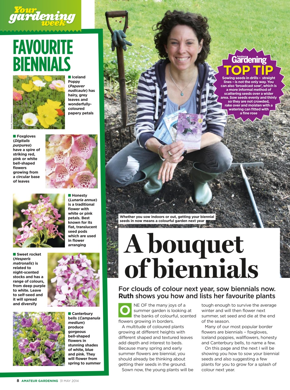 Amateur Gardening Preview Pages