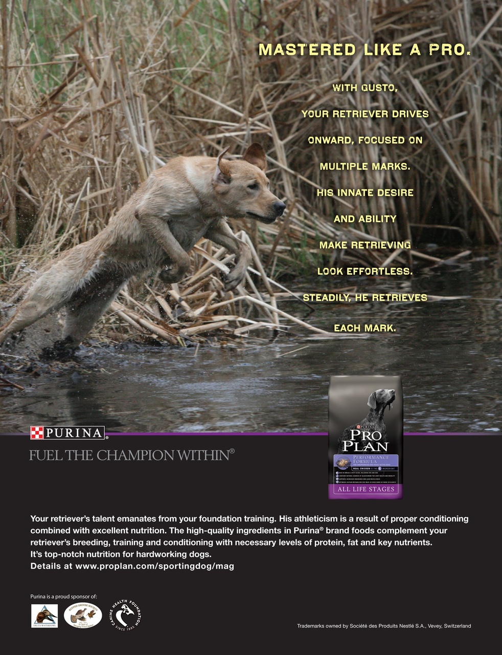 American Waterfowler Preview Pages