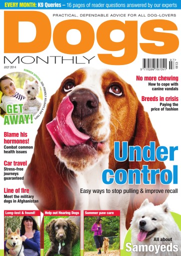 Dogs Monthly issue 