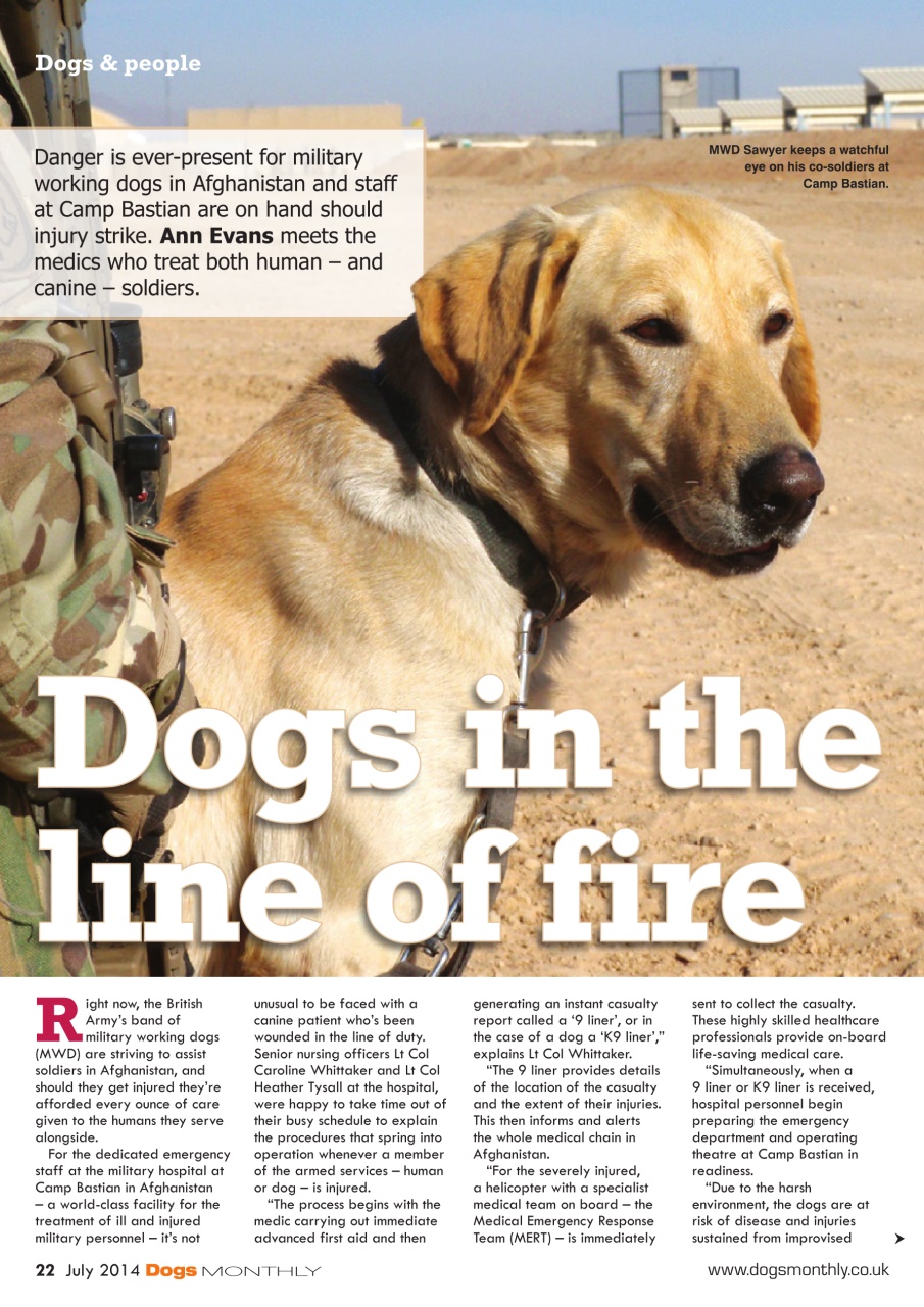 Dogs Monthly Preview Pages