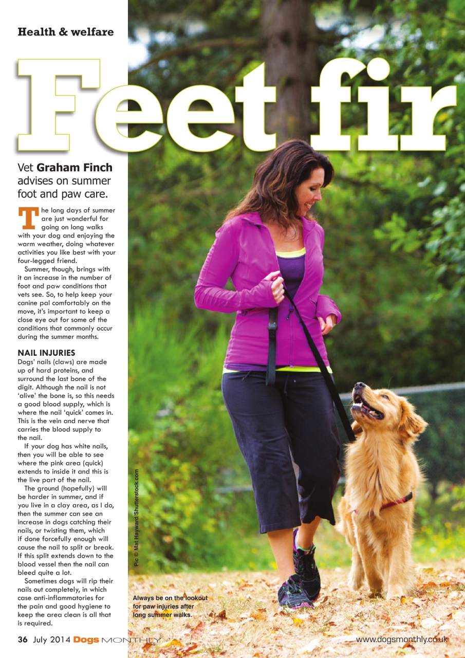 Dogs Monthly Preview Pages