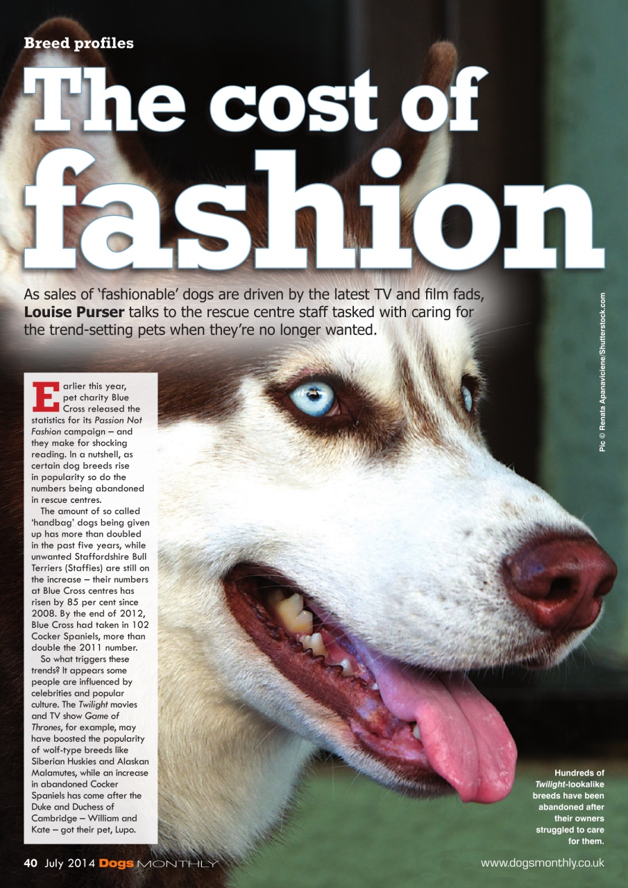 Dogs Monthly Preview Pages