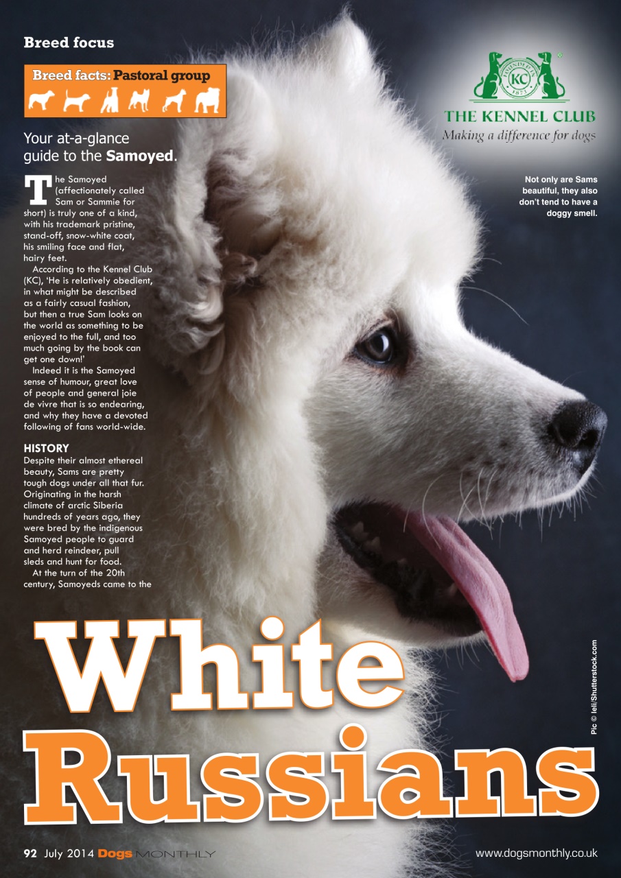 Dogs Monthly Preview Pages
