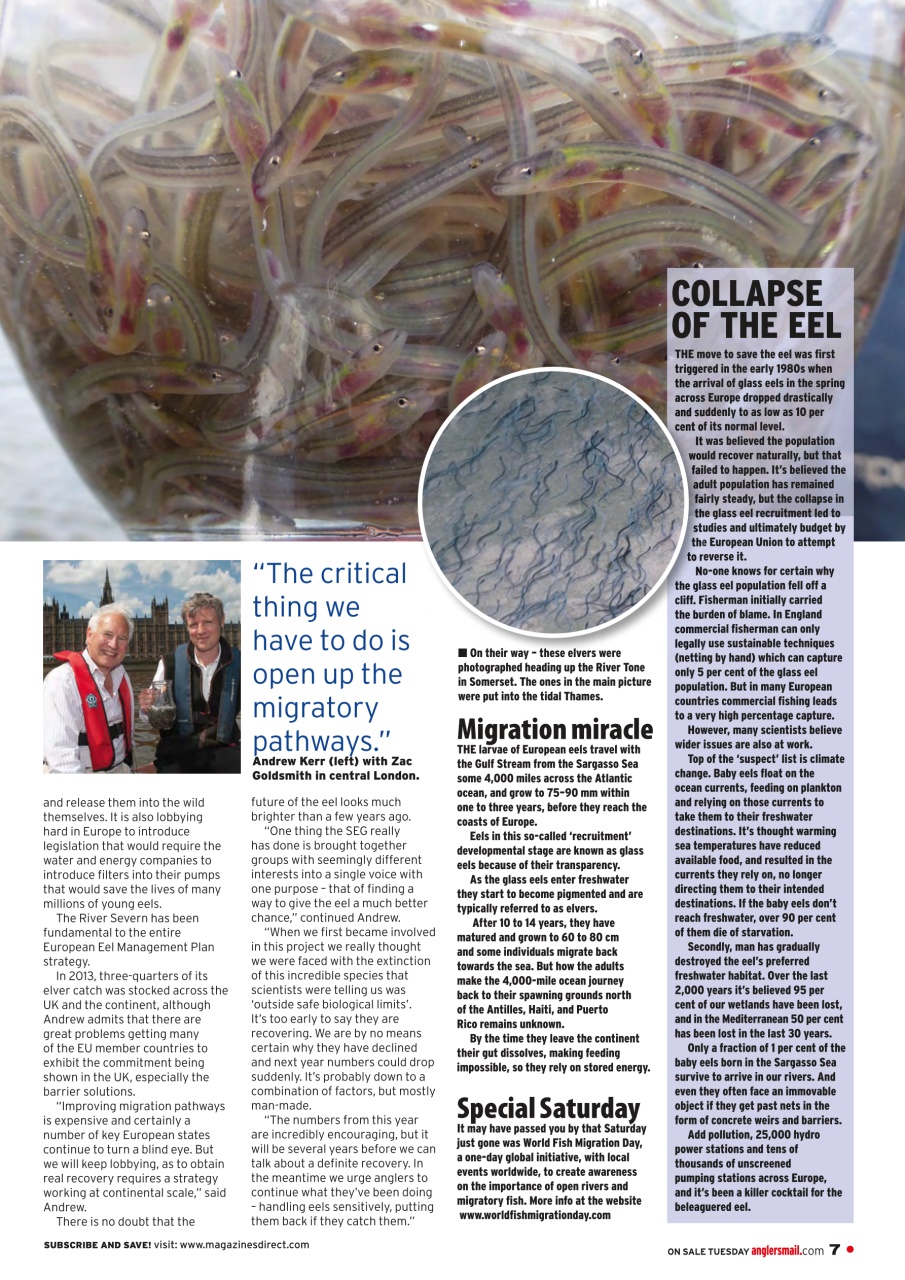 Anglers Mail Preview Pages