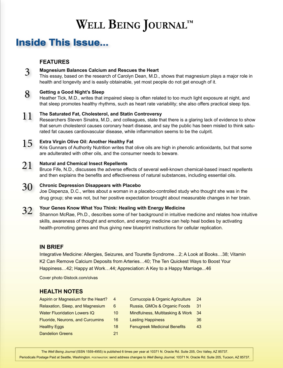 Well Being Journal Preview Pages